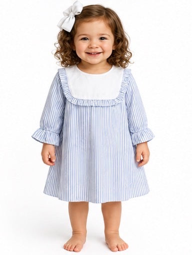 Girl's Blue Gingham Dress